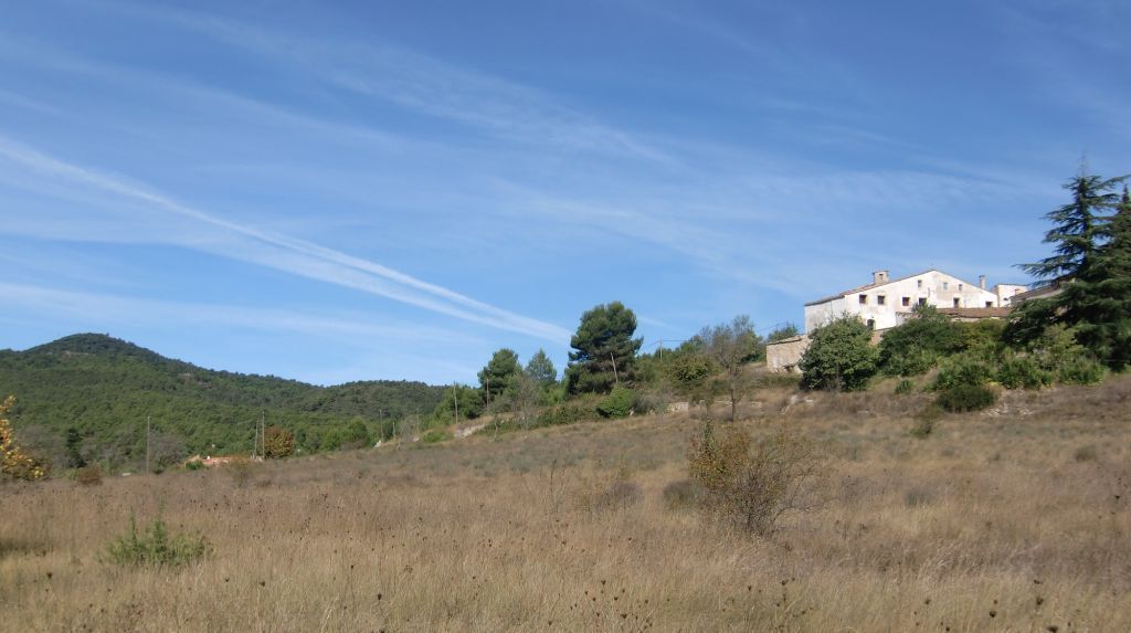 CIMG3576.JPG