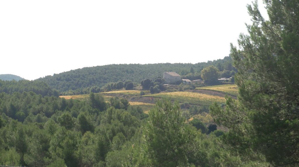 CIMG3578.JPG