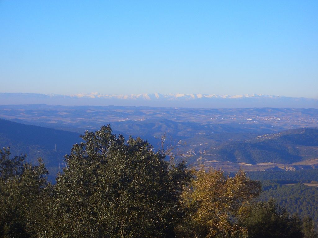 CIMG6434.JPG